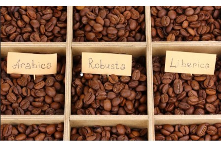 Разновидности кофе и в каких странах их выращивают